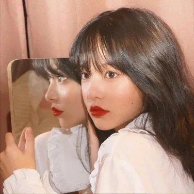 蔷薇处处香