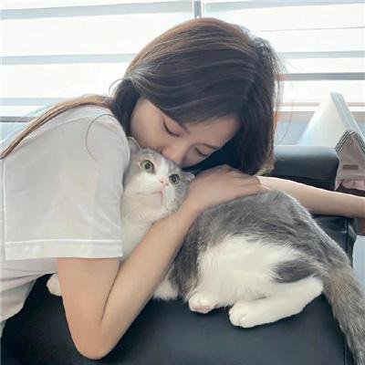 猫公主苏菲